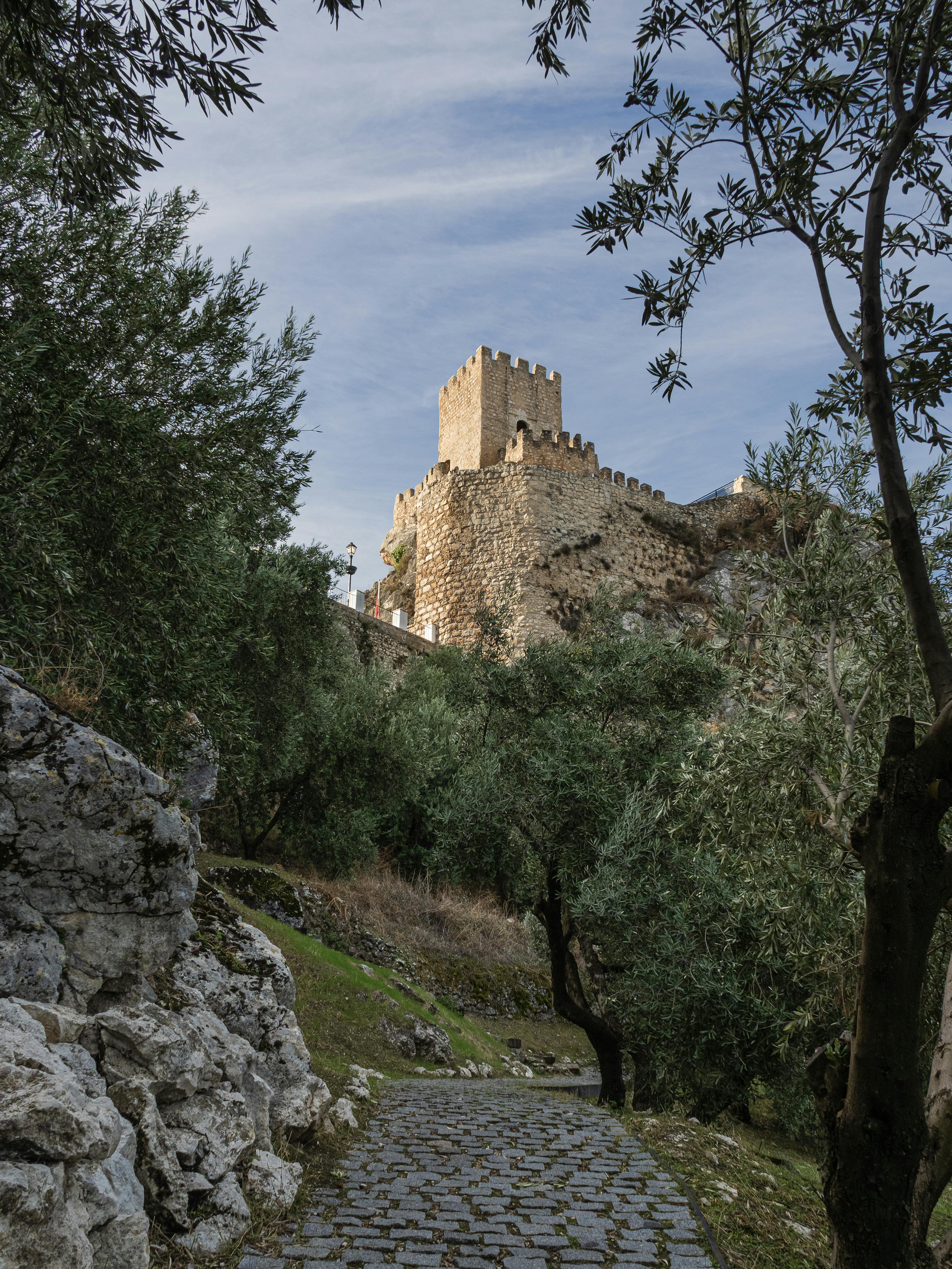 Arrabida Setubal Palmela wine tour